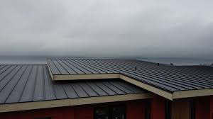 Best Roof Ventilation Installation  in Horn Lake, MS